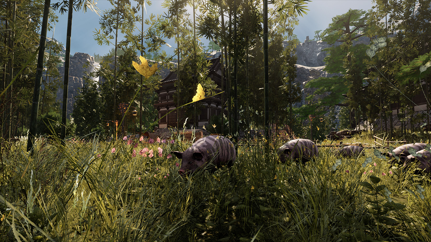 Mortal Online Map - Pig